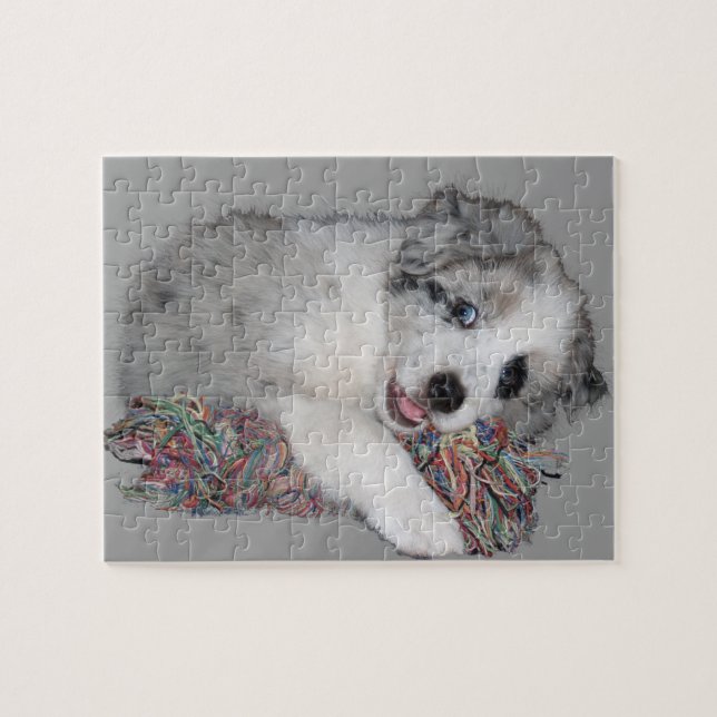Border-Colliewelpen-Blau merle Puzzle (Horizontal)