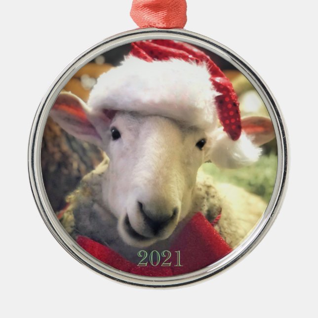 Border Leicester Lamb Garth Ornament (Vorne)
