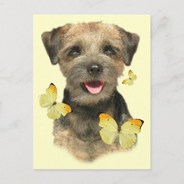 Border Terrier Butterfly Postkarte (Vorderseite)