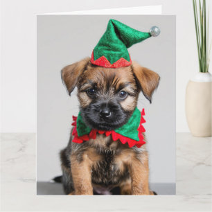 Border Terrier Elf Puppy Christmas Card Karte