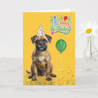 Border Terrier Hund Partyhut Gelb Geburtstag