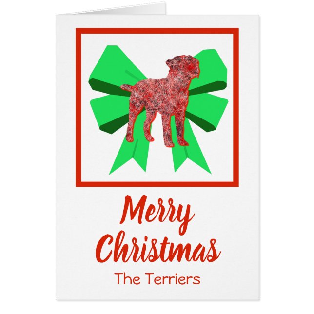 Border Terrier Niedlicher Weihnachtshund & Grüner  (Vorne)