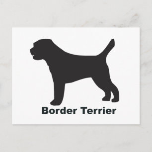 Border Terrier Postkarte