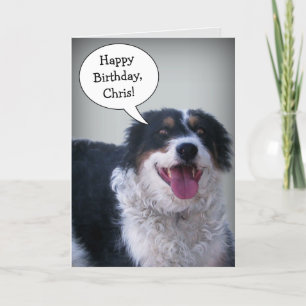 Bordercollie Birthday Card Karte