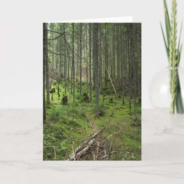 "Boreal Life Trail" Adirondack Forest Scene Karte (Vorderseite)