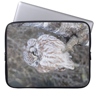 Boreal Owl Laptop-Sieb 15" Laptopschutzhülle