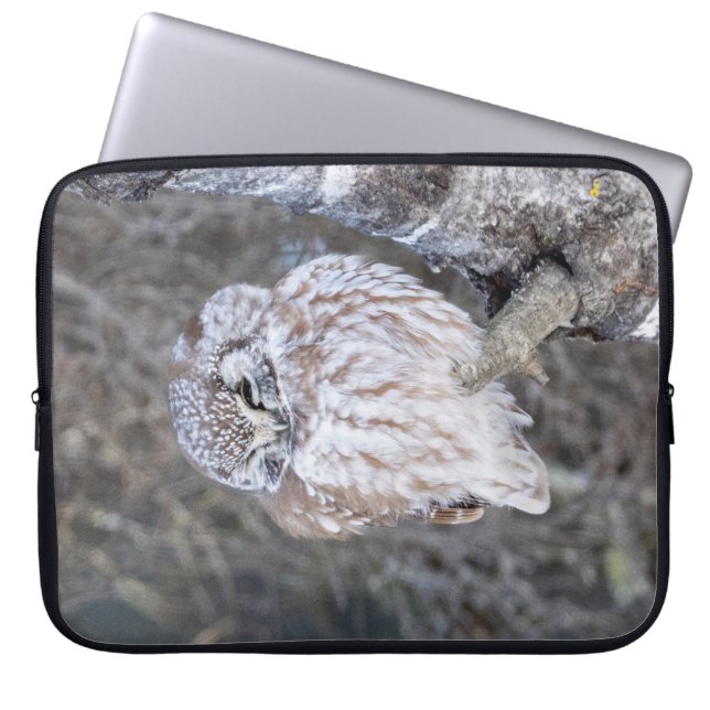 Boreal Owl Laptop-Sieb 15" Laptopschutzhülle (Vorderseite)