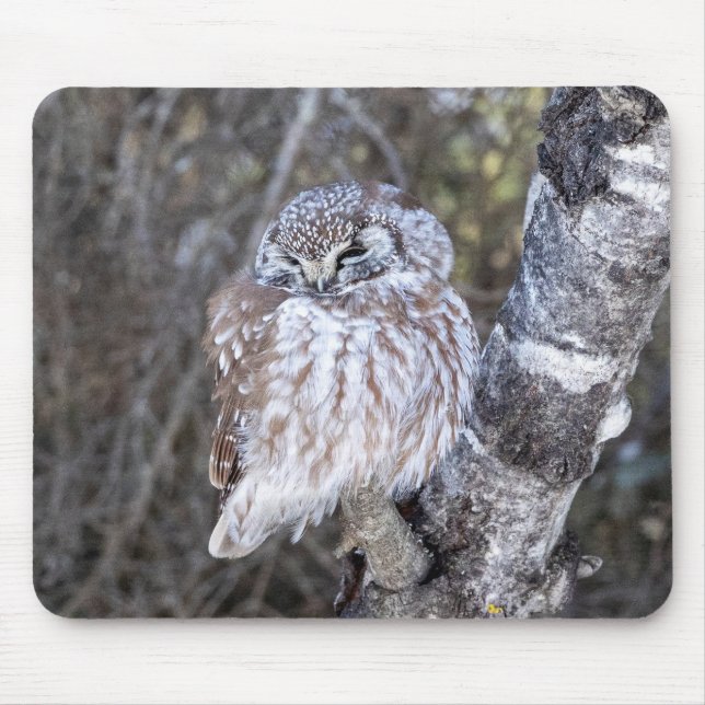 Boreal Owl Mouse Pad Mousepad (Vorne)
