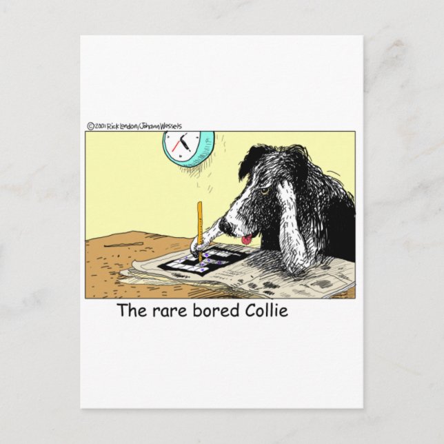 Bored Border Collie Funny gibt T-Shirts Sammlerstü Postkarte (Vorderseite)