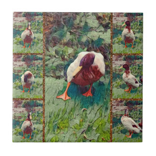 Bored Duck Foto Collage, Keramik Tile Fliese