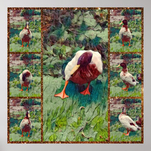 Bored Duck Foto Collage, Poster