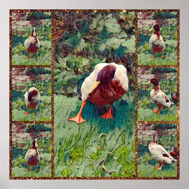 Bored Duck Foto Collage, Poster (Vorne)