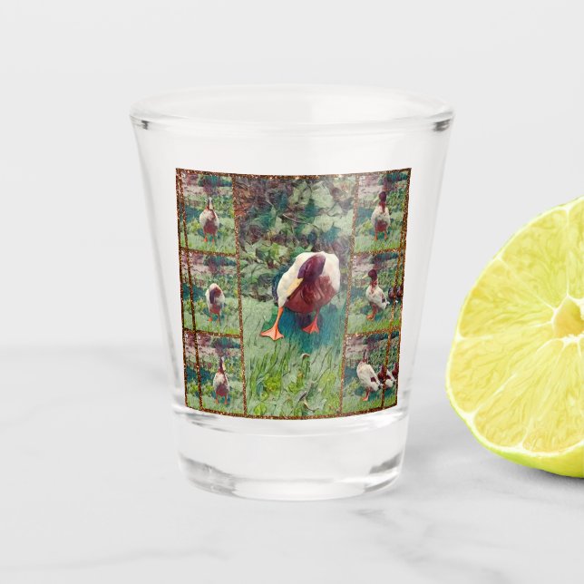 Bored Duck Foto Collage, Shot Glass Schnapsglas (Vorderseite)