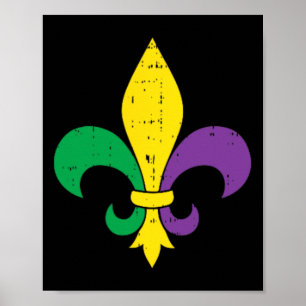 Boredkoalas Funny Mardi Gras Shirts Kostüme Jeste Poster