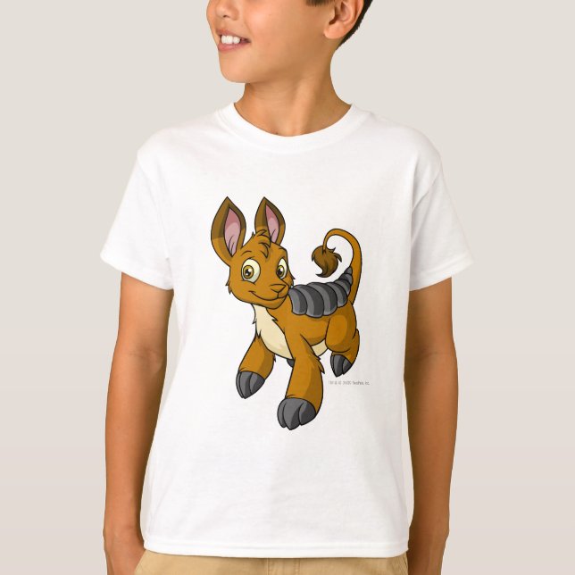 Bori Brown T-Shirt (Vorderseite)
