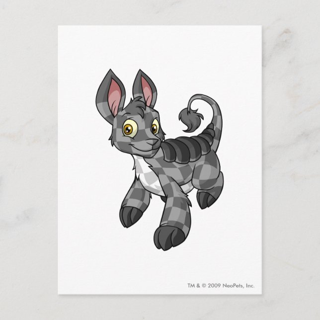 Bori Checkered Postkarte (Vorderseite)