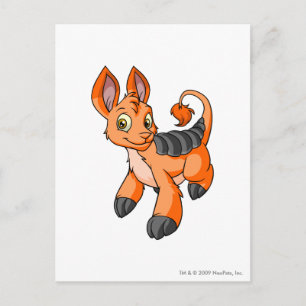 Bori Orange Postkarte