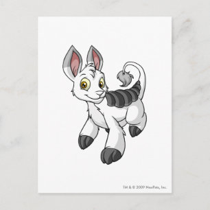 Bori White Postkarte