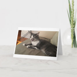 Boris der Niedliche Nubber Kitty Gruß Karte