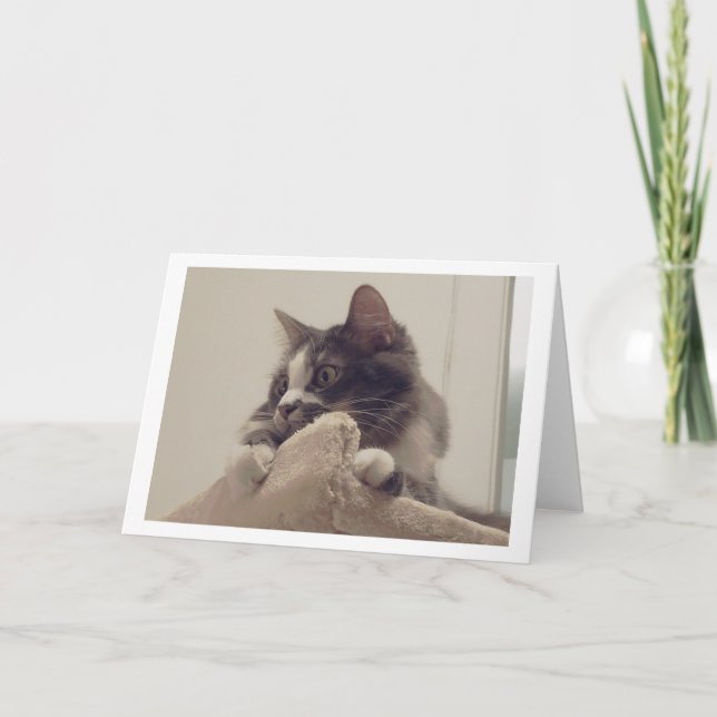 Boris der Niedliche Nubber Kitty Gruß Karte (Vorderseite)