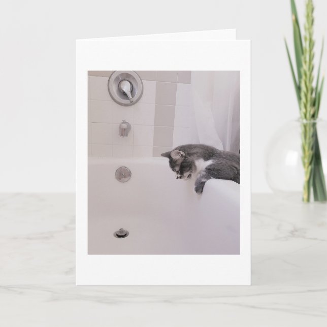 Boris der Niedliche Nubber Kitty Gruß Karte (Vorderseite)