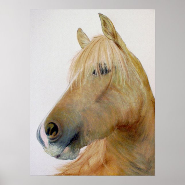 'Boris' Schöne Künste Horst Poster (Vorne)