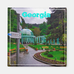 Borjomi Georgia Heiße Quellen Kaukusgebirge Magnet