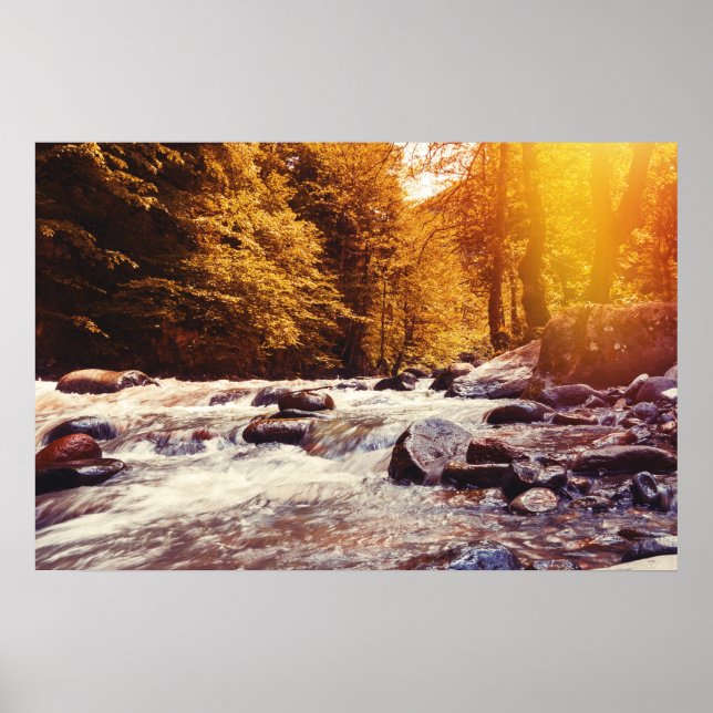 Borjomi, Georgien Poster (Vorne)