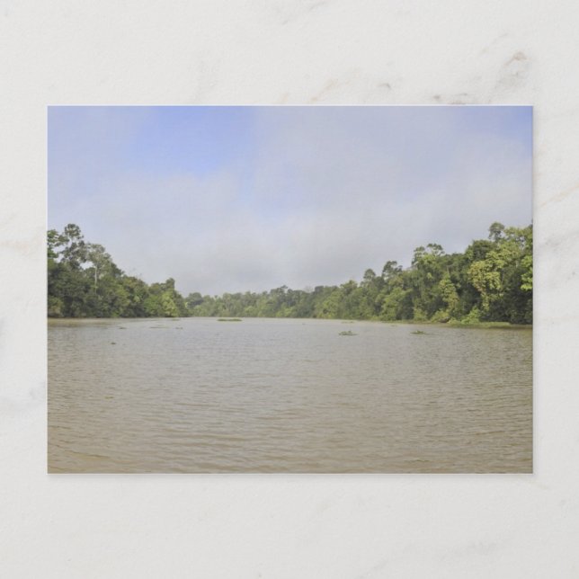 Borneo Island, Malaysia, Panoramasicht Postkarte (Vorderseite)