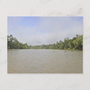 Borneo Island, Malaysia, Panoramasicht Postkarte