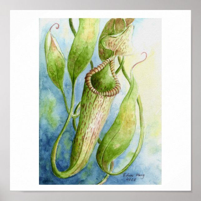 Borneo Nepenthes Watercolor Art Poster (Vorne)