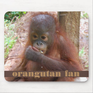 Borneo-Orang-Utan Baby-illegaler Haustier-Handel Mousepad