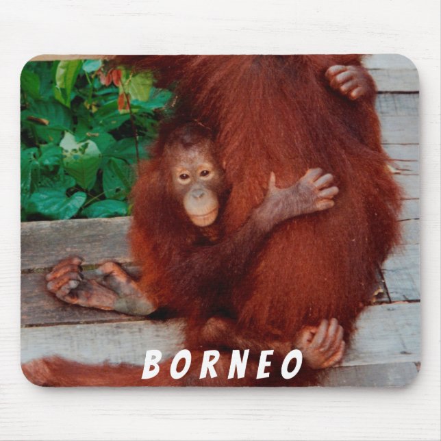 Borneo-Orang-Utan Mousepad (Vorne)