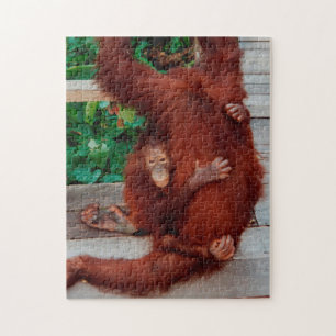Borneo orangutan 252-pc puzzle