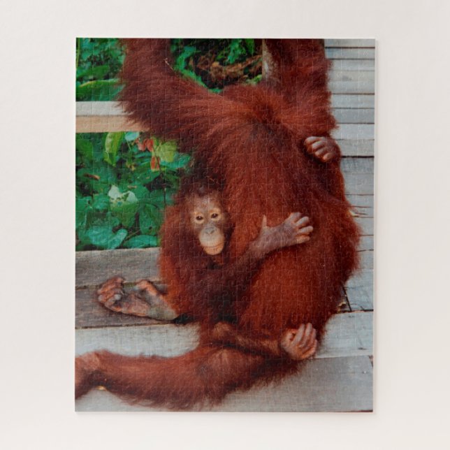 Borneo orangutan 520-pc puzzle (Vertikal)