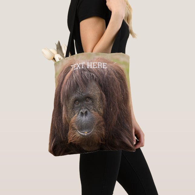 Borneo Orangutan Schöne Fotografie (Von Nahem)