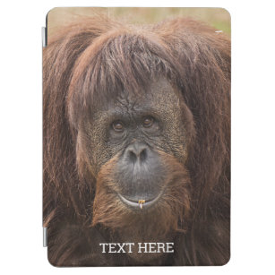 Borneo Orangutan Schöne Fotografie iPad Air Hülle