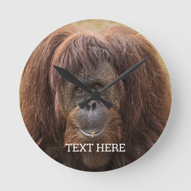 Borneo Orangutan Schöne Fotografie Runde Wanduhr (Vorderseite)