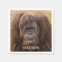 Borneo Orangutan Schöne Fotografie