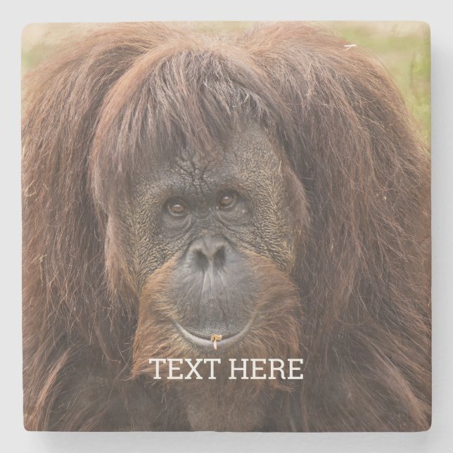 Borneo Orangutan Schöne Fotografie Steinuntersetzer (Vorderseite)