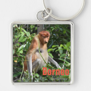 Borneo Proboscis Monkey Schlüsselanhänger