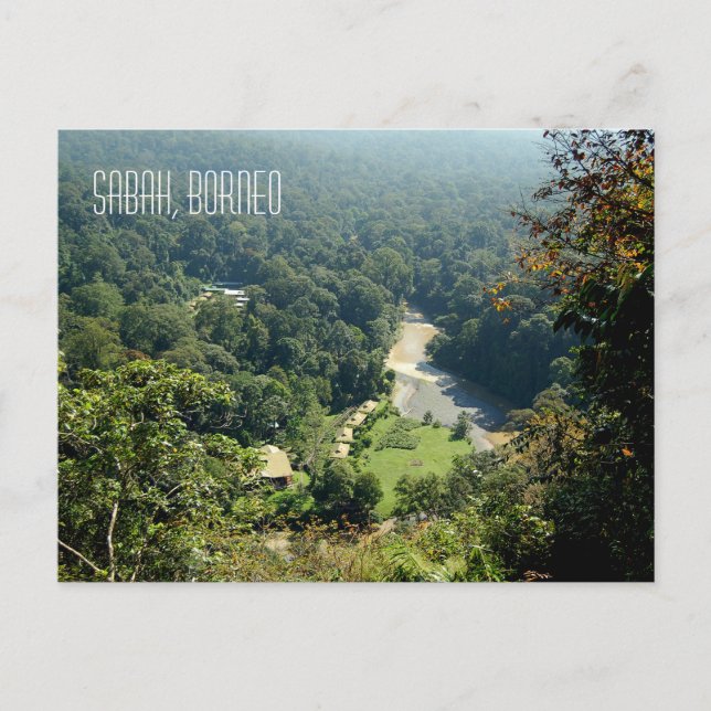 Borneo Rainforest Dschungel Luftbild Fotografie Postkarte (Vorderseite)