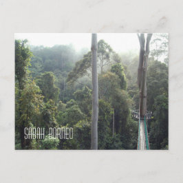Borneo Rainforest Dschungel Treetops Landschaftlic Postkarte