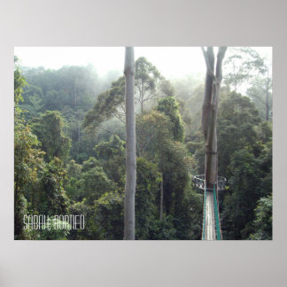 Borneo Rainforest Jungle Treetops Wanderweg Sabah Poster