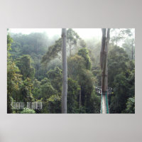 Borneo Rainforest Jungle Treetops Wanderweg Sabah