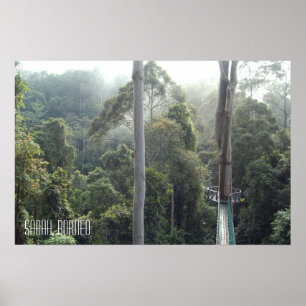 Borneo-Regenwald-Dschungel-Baumwipfel-Promenade Sa Poster