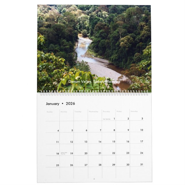 Borneo-Regenwald-Kalender Kalender (Jan 2026)