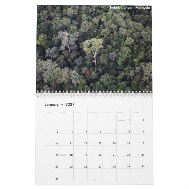 Borneo-Regenwald-Kalender Kalender (Jan 2027)