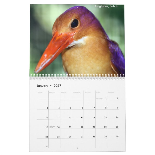 Borneo-Regenwald-Tier-Kalender Kalender (Jan 2027)
