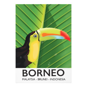 Borneo Toucan Reiseplakat Fotodruck